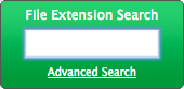 文件扩展名搜索Chrome扩展程序
