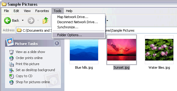 Windows文件夹选项
