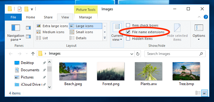 Windows 10文件扩展名复选框