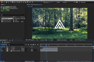Adobe After Effects CC 2019中.aepx文件的屏幕截图