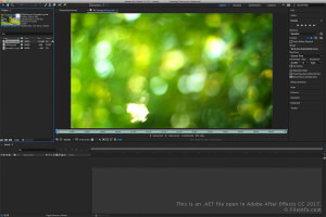 Adobe After Effects CC 2017中.aet文件的屏幕截图