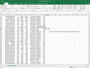 Microsoft Excel 2016中的.csv文件的屏幕快照