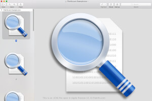 Apple Preview 10中的.icns文件的屏幕截图