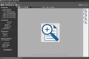 File Viewer Plus 2中.ico文件的屏幕截图