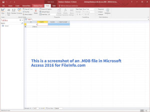 Microsoft Access 2016中的.mdb文件的屏幕快照