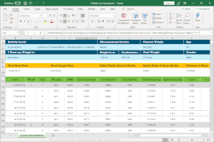 Microsoft Excel 2019中.xls文件的屏幕快照