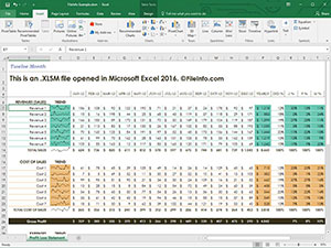 Microsoft Excel 2016中.xlsm文件的屏幕快照
