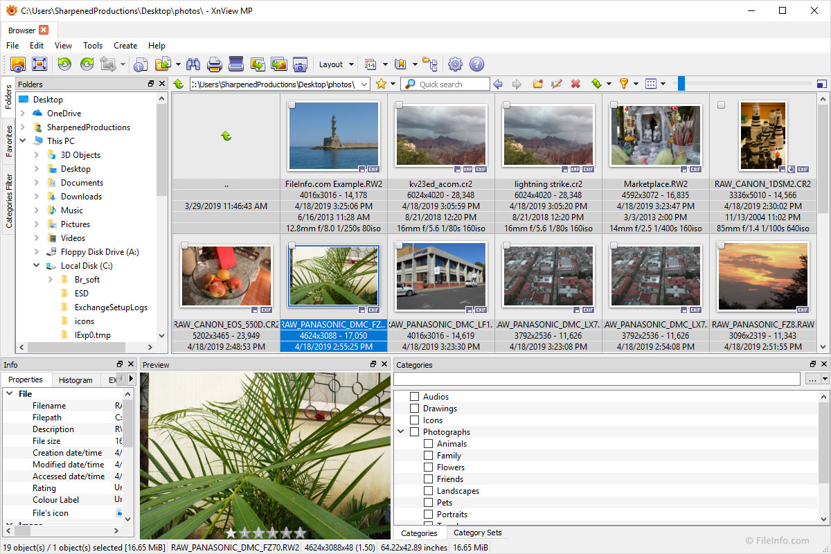 XnViewMP 1.5.3 free downloads